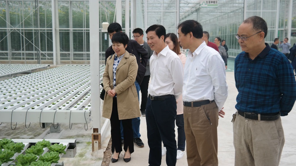 ȫ���˴�ũ��������̸���ڹ����ٿ�