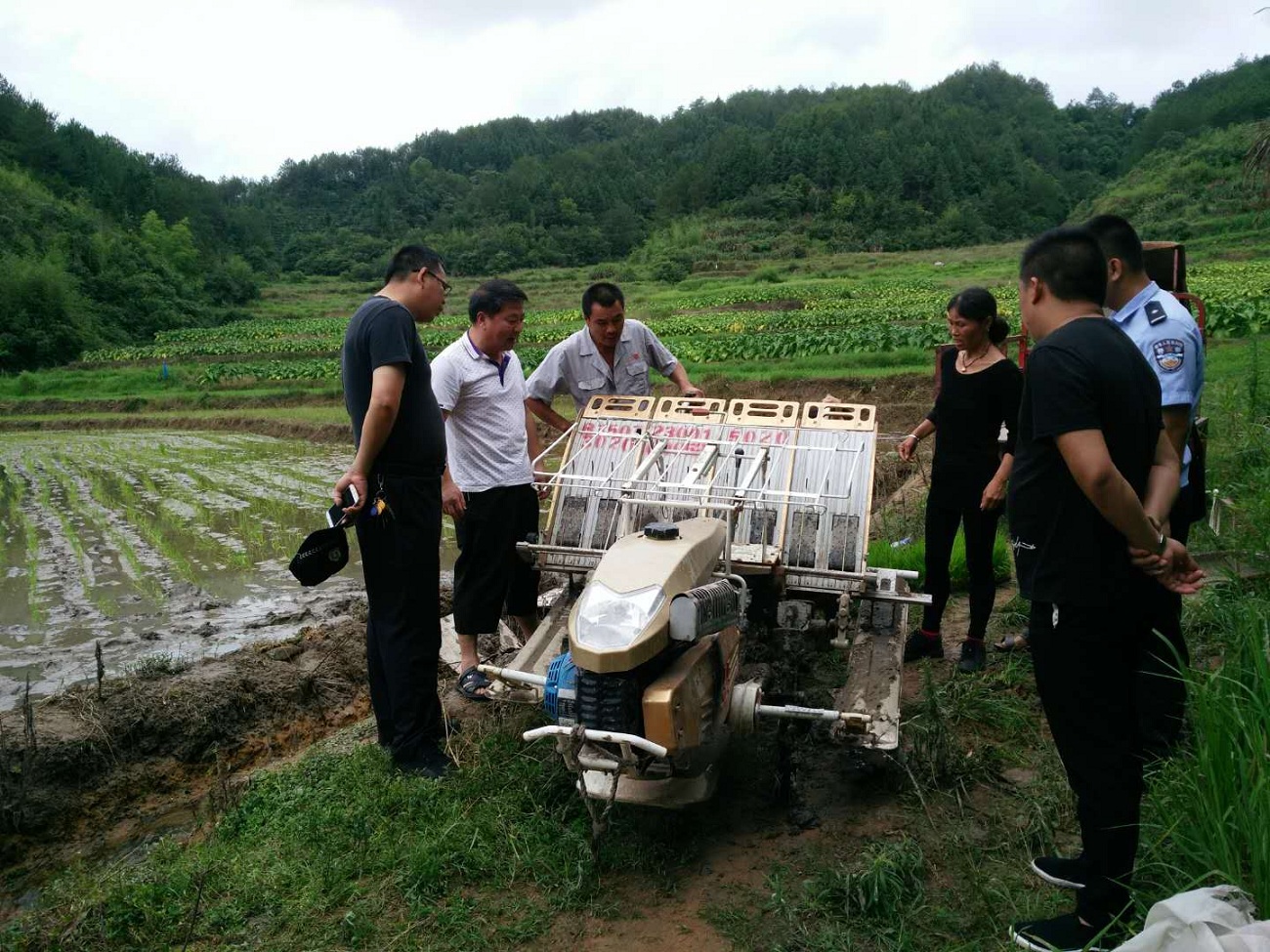 ֹ�����˴��������ͷΪȺ�ڵ������