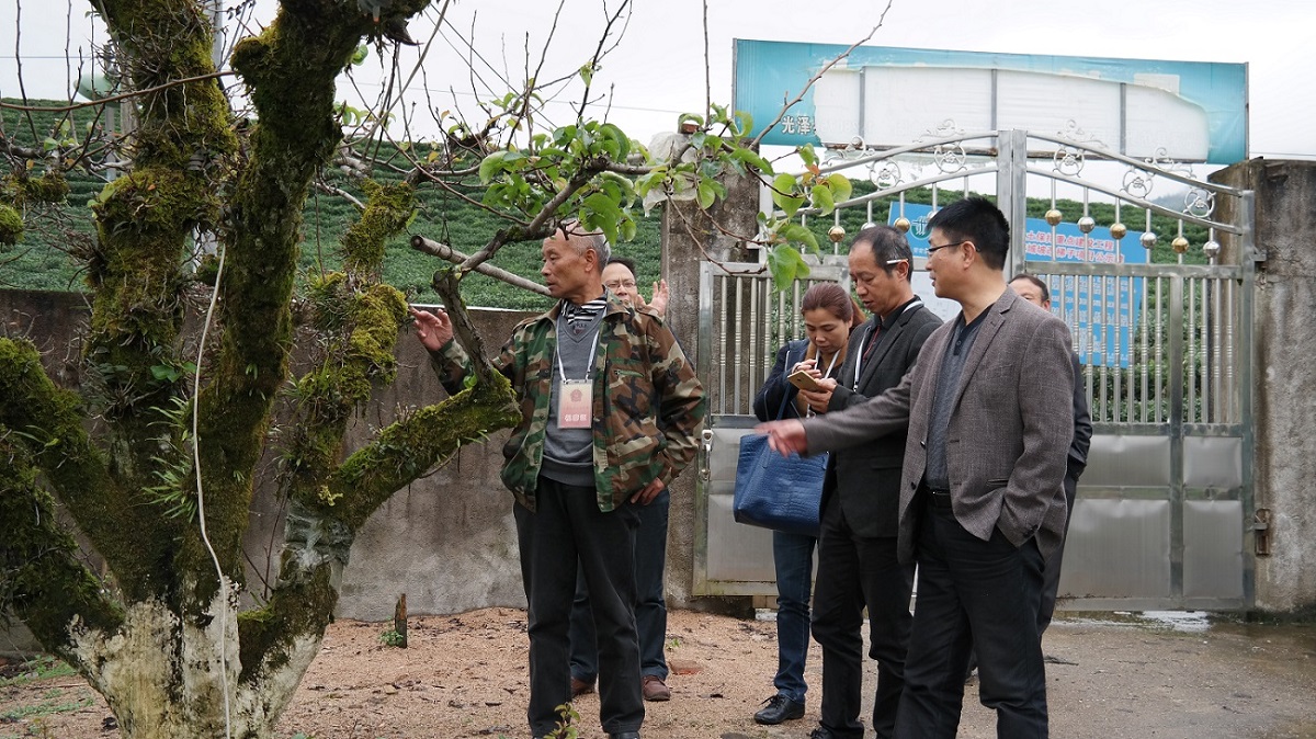 ��֯���˴������չר�����